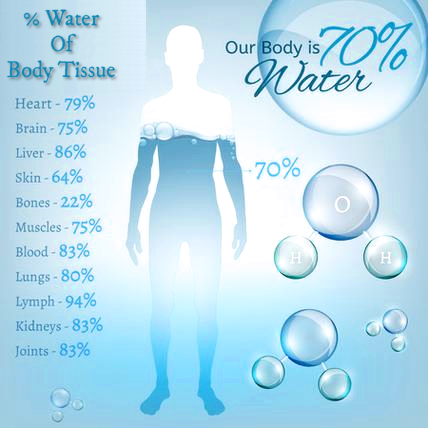 water_percentage